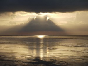 Lorette Dorreboom voor WAD van 2 kanten - 1