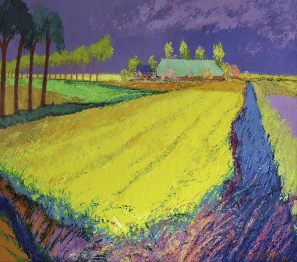 visualia-1214-jannes-de-vries-koolzaadveld-met-boerderij